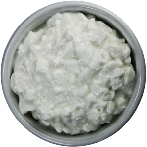 Cottage cheese PNG-48658